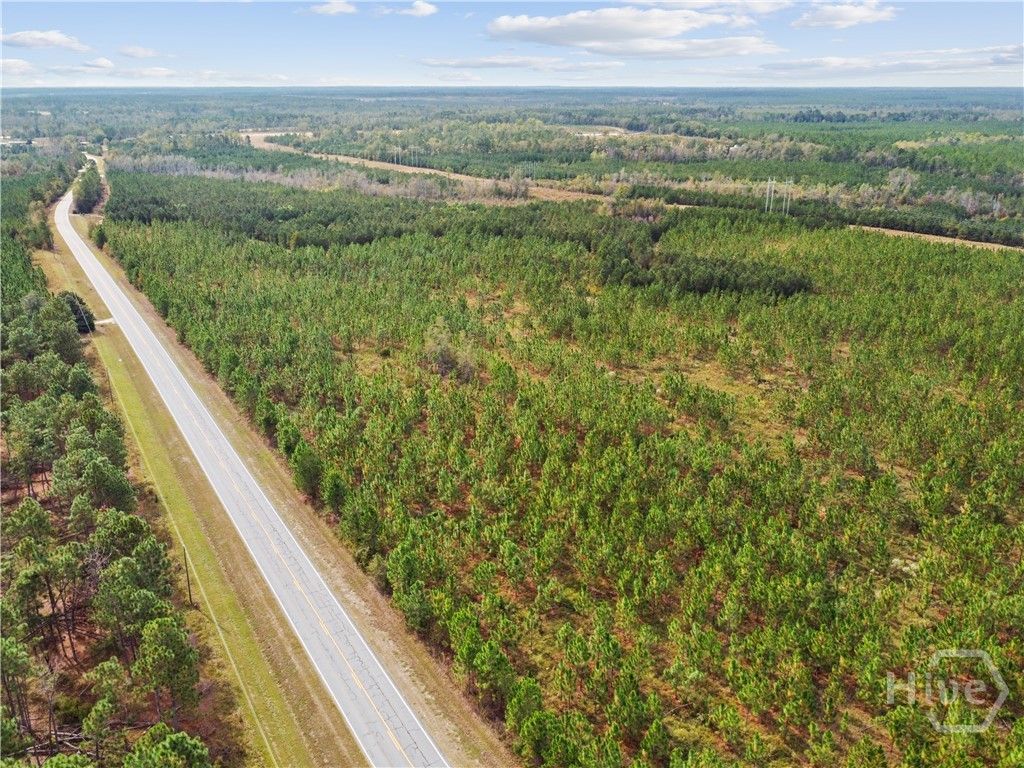 Image 20 of property listing at 0 Hwy 297 - Tracts 2,3,4 &5, Soperton, GA 30457