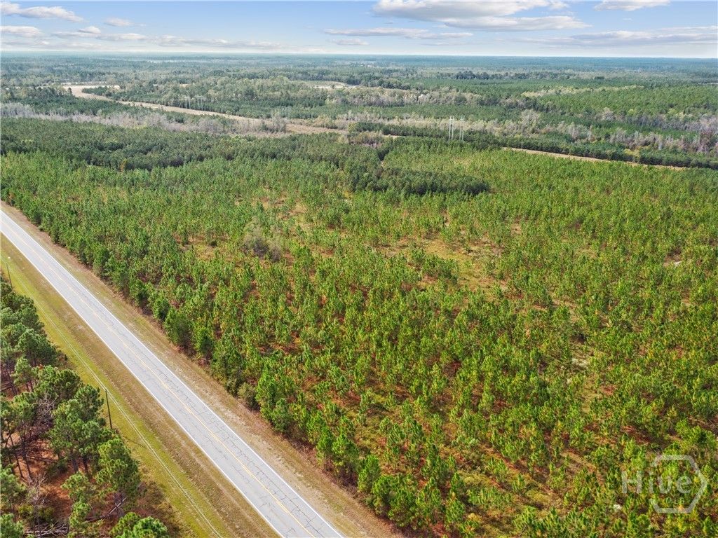 Image 21 of property listing at 0 Hwy 297 - Tracts 2,3,4 &5, Soperton, GA 30457