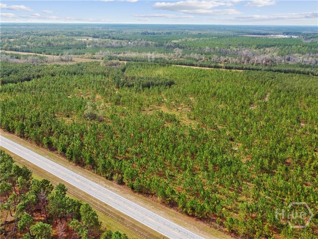 Image 22 of property listing at 0 Hwy 297 - Tracts 2,3,4 &5, Soperton, GA 30457