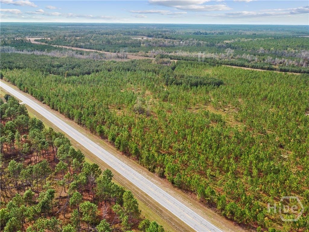 Image 23 of property listing at 0 Hwy 297 - Tracts 2,3,4 &5, Soperton, GA 30457