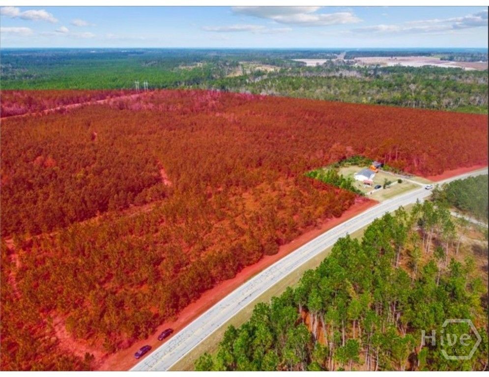 Image 4 of property listing at 0 Hwy 297 - Tracts 2,3,4 &5, Soperton, GA 30457