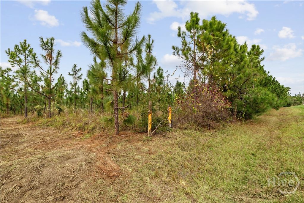 Image 7 of property listing at 0 Hwy 297 - Tracts 2,3,4 &5, Soperton, GA 30457