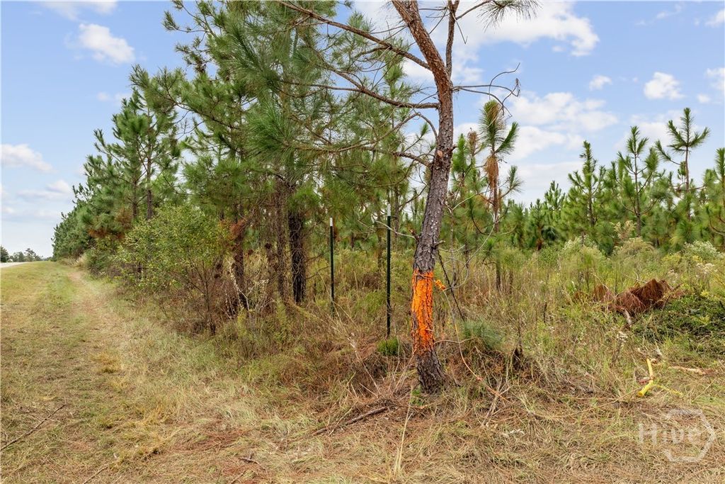 Image 8 of property listing at 0 Hwy 297 - Tracts 2,3,4 &5, Soperton, GA 30457