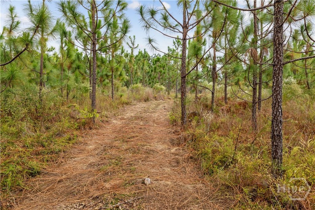 Image 9 of property listing at 0 Hwy 297 - Tracts 2,3,4 &5, Soperton, GA 30457
