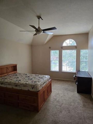 4203 Shadow Haven Drive, Fresno, TX 77545