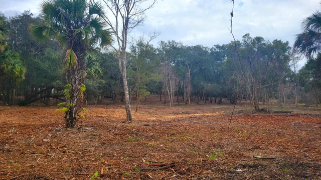 Tbd Tropic Street, Titusville, FL 32796