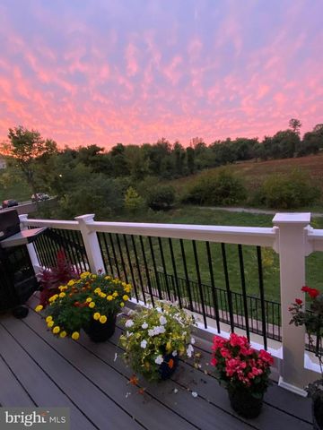 1454 CLINGMANS DOME DR, Frederick, MD 21702