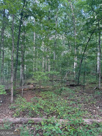 2470 Fears Road, Madison, GA 30650