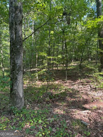 2470 Fears Road, Madison, GA 30650