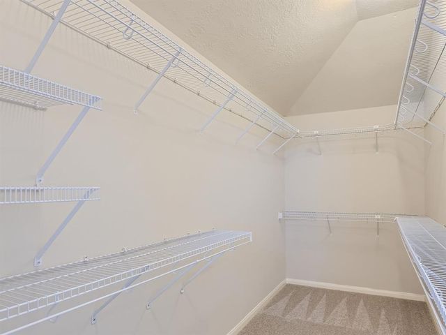 17534 Colony Stream Drive, Spring, TX 77379