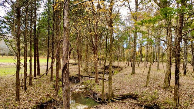 0 Coleman Hill Rd, Rockvale, TN 37153