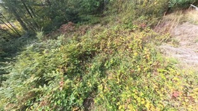 130 LOT: B, PTN BLK: 15, Hoodsport, WA 98548