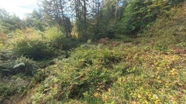 130 LOT: B, PTN BLK: 15, Hoodsport, WA 98548