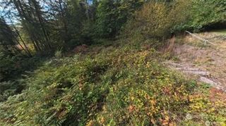 130 LOT: B, PTN BLK: 15, Hoodsport, WA 98548