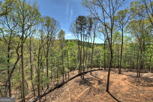 394 Blackberry Circle, Ellijay, GA 30536