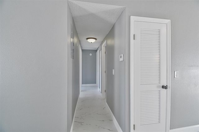 8801 THOUSAND OAKS COURT, Tampa, FL 33634