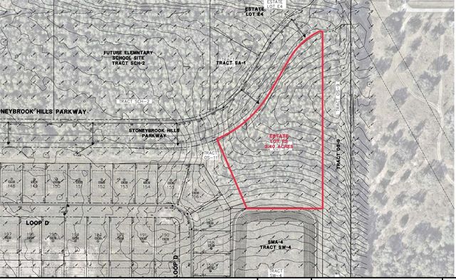 5936 STONEYBROOK HILLS PARKWAY, Mount Dora, FL 32757