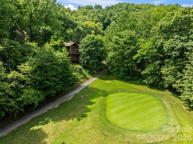 226 Sawgrass Drive, Whittier, NC 28789