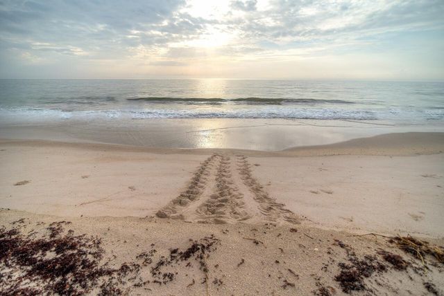 1640 4th Avenue, Vero Beach, FL 32960