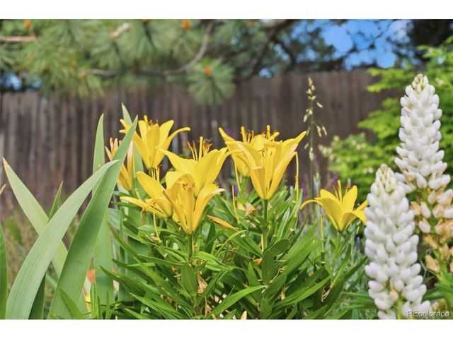 3540 Holland St, Wheat Ridge, CO 80033