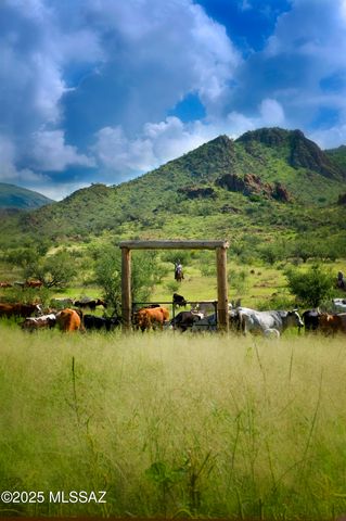 1265 Morning Star Drive, Rio Rico, AZ 85648