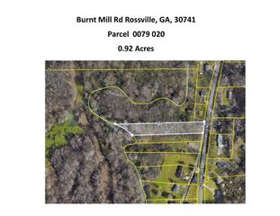 0 Burnt Mill Road, Flintstone, GA 30725