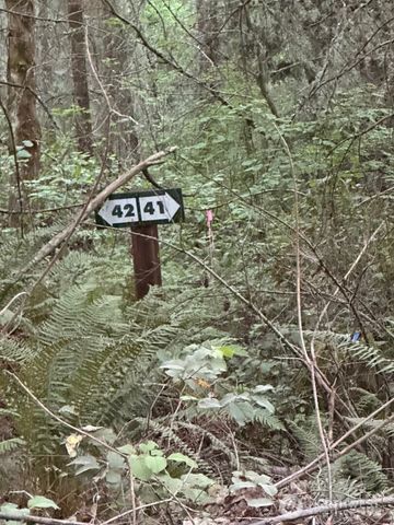 44302 32nd Ave E, Eatonville, WA 98328