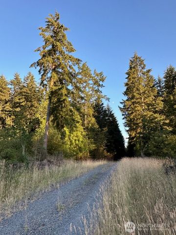 44302 32nd Ave E, Eatonville, WA 98328
