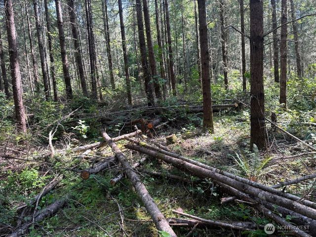 44302 32nd Ave E, Eatonville, WA 98328