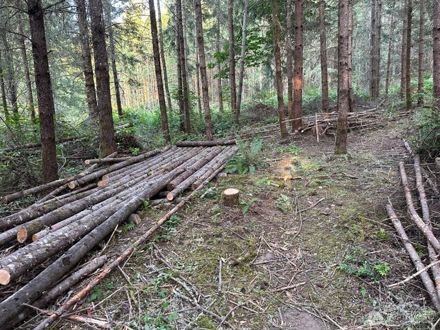 44302 32nd Ave E, Eatonville, WA 98328