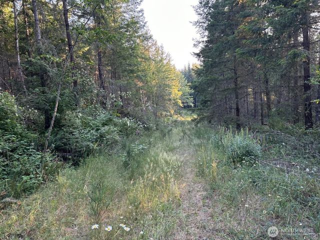 44302 32nd Ave E, Eatonville, WA 98328
