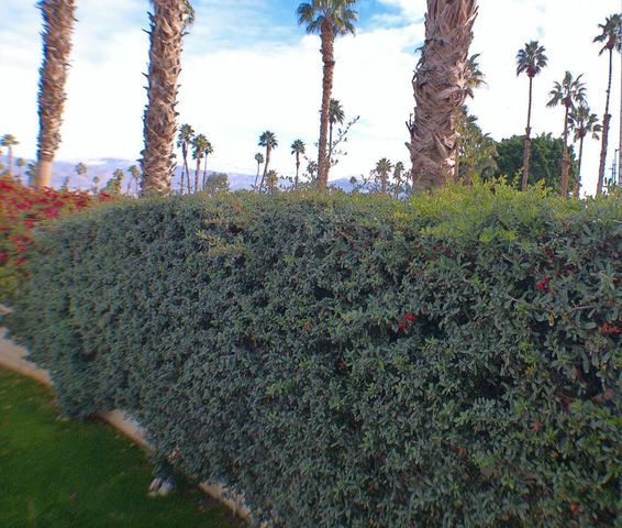 84136 Ave 44,206 206, Indio, CA 92203