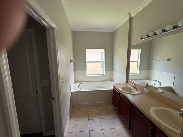 20156 BAY CEDAR AVENUE, Tampa, FL 33647