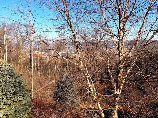 4029 Stone Point Drive NE, Rochester, MN 55906