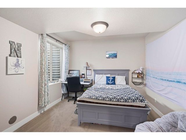 1815 Holloway Dr, Windsor, CO 80550
