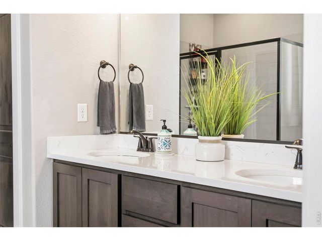 1815 Holloway Dr, Windsor, CO 80550