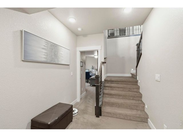 1815 Holloway Dr, Windsor, CO 80550