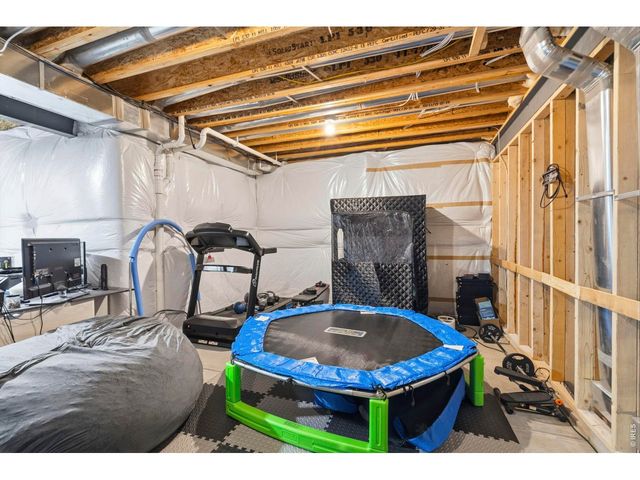 1815 Holloway Dr, Windsor, CO 80550