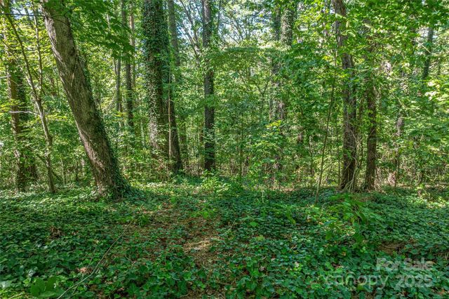 5 Horizon Hill Road, Asheville, NC 28804