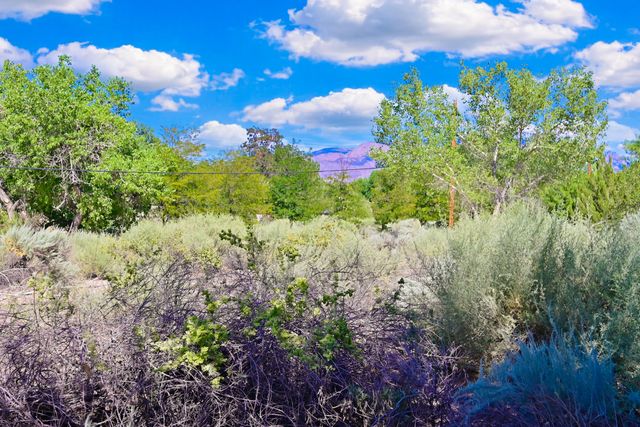 60 Desert Willow Road, Corrales, NM 87048