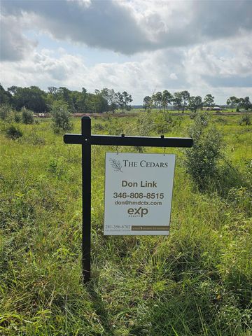9568 Lakeside Oaks Drive, Plantersville, TX 77363