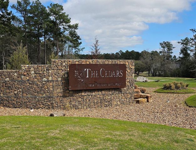 9568 Lakeside Oaks Drive, Plantersville, TX 77363