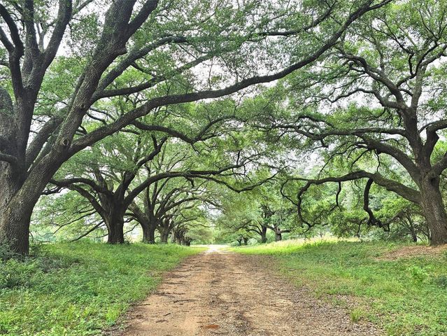 9568 Lakeside Oaks Drive, Plantersville, TX 77363