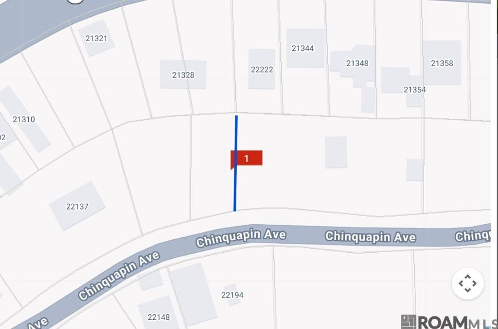 22222 Chinquapin Ave, Maurepas, LA 70449
