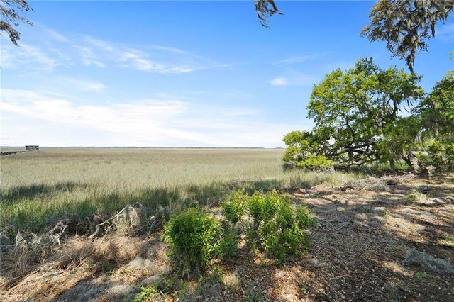 1629 Eagleneck Drive, Townsend, GA 31331