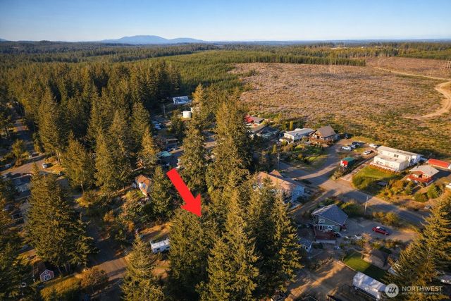 90 E Lakeview Drive, Shelton, WA 98584