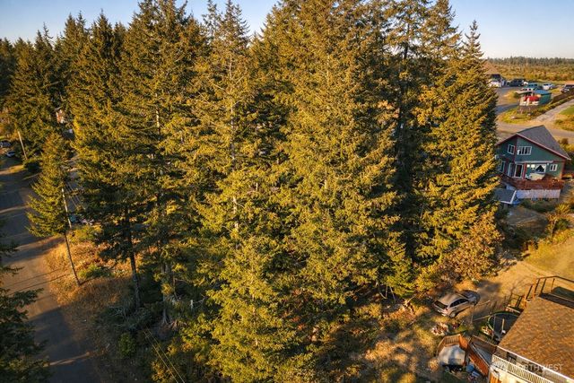 90 E Lakeview Drive, Shelton, WA 98584