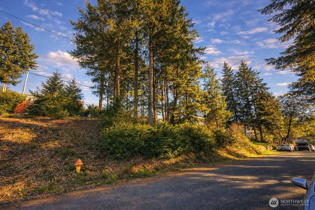 90 E Lakeview Drive, Shelton, WA 98584