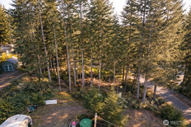 90 E Lakeview Drive, Shelton, WA 98584