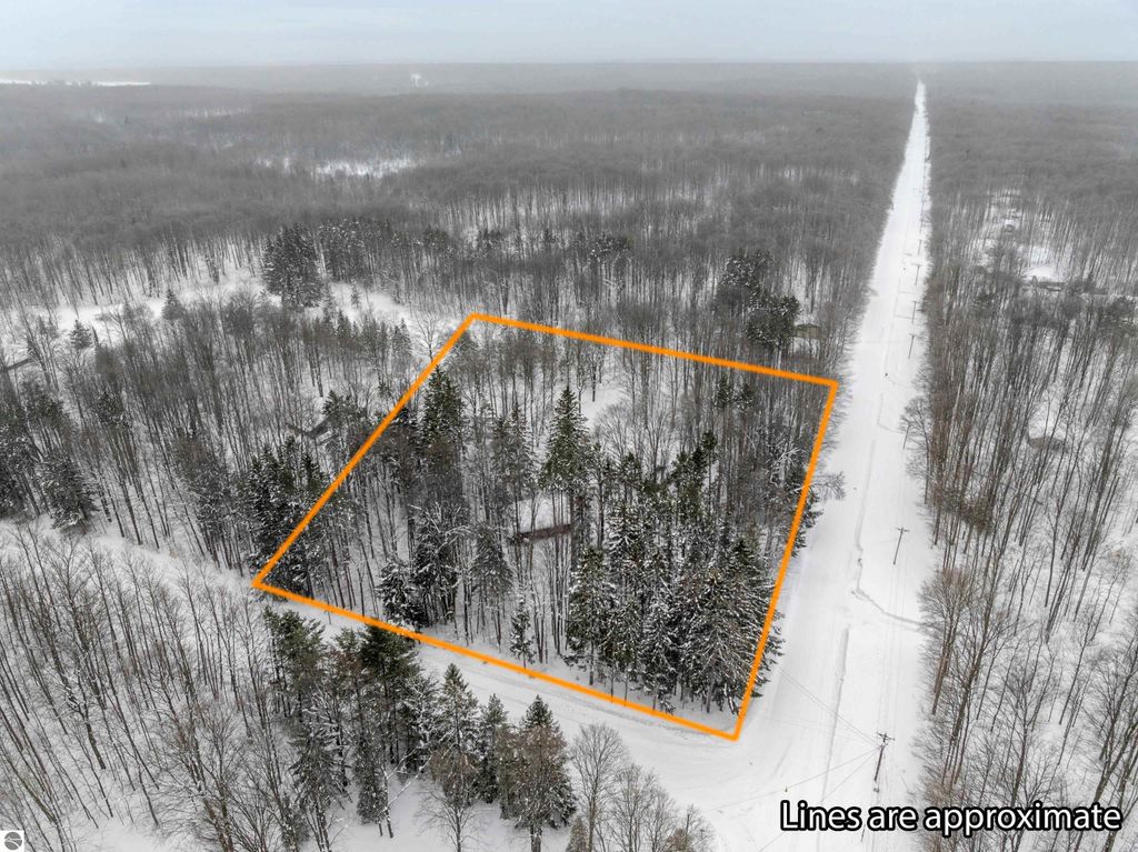 Image 3 of property listing at 8460 NE Covert Road, Mancelona, MI 49659